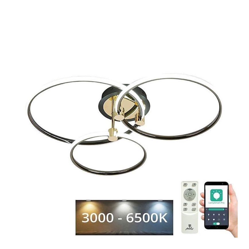 LED Aptumšojama griestu lampa LED/64W/230V 3000-6500K + tālvadības pults