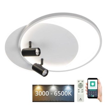 LED Aptumšojama griestu lampa LED/65W/230V 3000-6500K balta + tālvadības pults