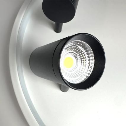 LED Aptumšojama griestu lampa LED/65W/230V 3000-6500K balta + tālvadības pults