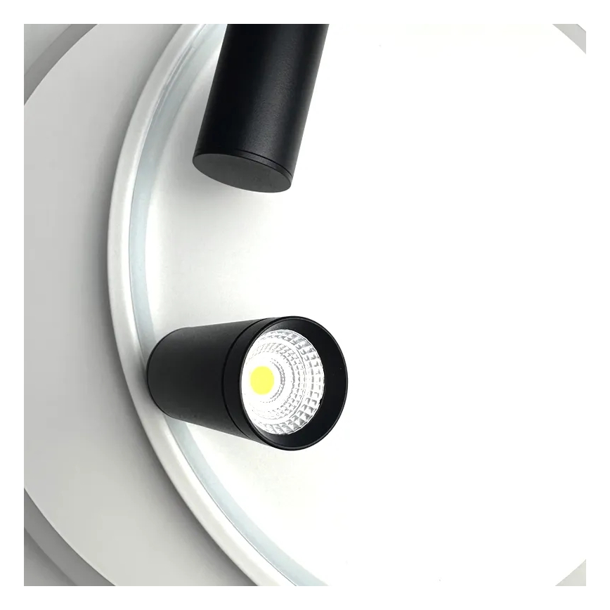 LED Aptumšojama griestu lampa LED/65W/230V 3000-6500K balta + tālvadības pults