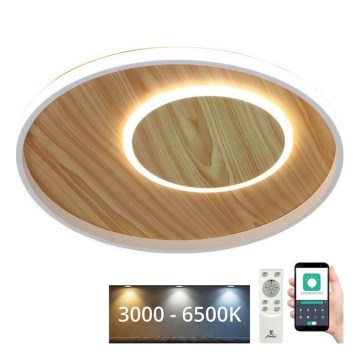LED Aptumšojama griestu lampa LED/65W/230V 3000-6500K brūna + tālvadības pults
