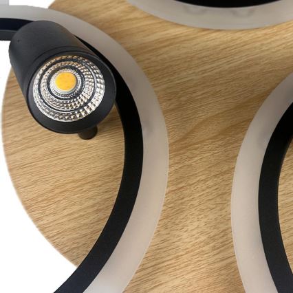 LED Aptumšojama griestu lampa LED/70W/230V 3000-6500K melna/brūna + tālvadības pults