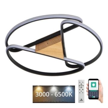 LED Aptumšojama griestu lampa LED/75W/230V 3000-6500K brūna/melna + tālvadības pults