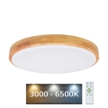 LED Aptumšojama griestu lampa LENA LED/24W/230V 3000-6500K ozols + tālvadības pults