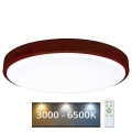 LED Aptumšojama griestu lampa LENA LED/60W/230V 3000-6500K ozols + tālvadības pults