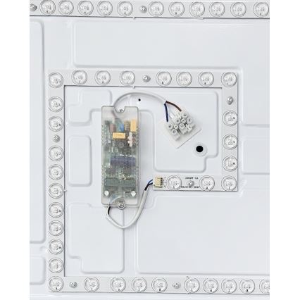 LED Aptumšojama griestu lampa NERIS LED/60W/230V 2700-6500K 53x53 cm + tālvadības pults