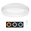 LED Aptumšojama griestu lampa NEST LED/40W/230V 3000-6500K balta