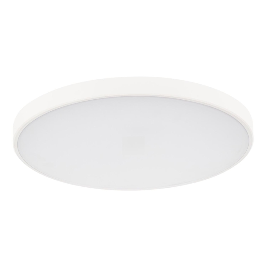 LED Aptumšojama griestu lampa PLAFON LED/20W/230V 3000-6500K Wi-Fi balta