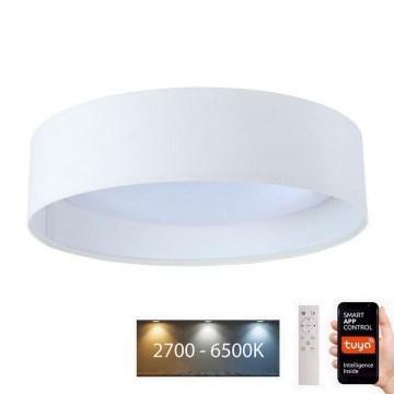 LED Aptumšojama griestu lampa SMART GALAXY LED/24W/230V d. 45 cm 2700-6500K Wi-Fi Tuya balta + tālvadības pults