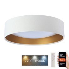 LED Aptumšojama griestu lampa SMART GALAXY LED/24W/230V d. 45 cm 2700-6500K Wi-Fi Tuya balta/zelta + tālvadības pults