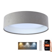 LED Aptumšojama griestu lampa SMART GALAXY LED/24W/230V d. 45 cm 2700-6500K Wi-Fi Tuya pelēka/balta + tālvadības pults
