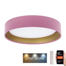LED Aptumšojama griestu lampa SMART GALAXY LED/24W/230V d. 45 cm 2700-6500K Wi-Fi Tuya rozā/zelta + tālvadības pults