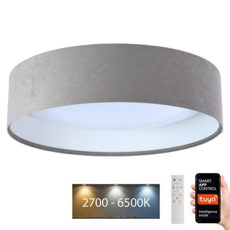 LED Aptumšojama griestu lampa SMART GALAXY LED/36W/230V d. 55 cm 2700-6500K Wi-Fi Tuya pelēka/balta + tālvadības pults