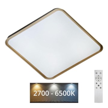 LED Aptumšojama griestu lampa UNA LED/60W/230V 2700-6500K 50x50 cm + tālvadības pults
