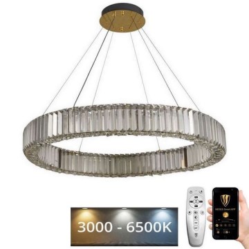 LED Aptumšojama kristāla lustra ar auklu LED/50W/230V 3000-6500K hroms/zelta + tālvadības pults