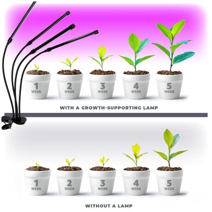 LED Aptumšojama pielāgojama galda lampa ar stiprinājumu augu audzēšanai VITARO 4xLED/10W/230V melna