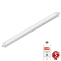 LED Aptumšojama lielas slodzes lampa LED/40W/230V 3000-6500K Wi-Fi Tuya IP65