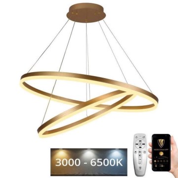 LED Aptumšojama lustra ar auklu LED/100W/230V 3000-6500K d. 80 cm + tālvadības pults