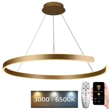 LED Aptumšojama lustra ar auklu LED/100W/230V 3000-6500K d. 80 cm + tālvadības pults