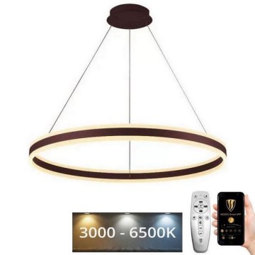 LED Aptumšojama lustra ar auklu LED/110W/230V 3000-6500K + tālvadības pults