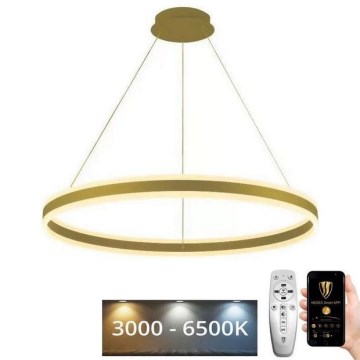 LED Aptumšojama lustra ar auklu LED/110W/230V 3000-6500K + tālvadības pults