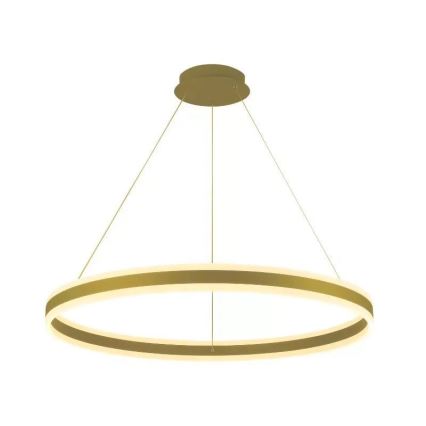 LED Aptumšojama lustra ar auklu LED/110W/230V 3000-6500K d. 80 cm + tālvadības pults