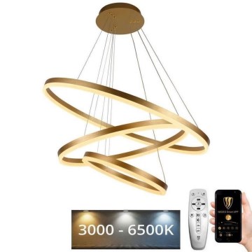 LED Aptumšojama lustra ar auklu LED/125W/230V 3000-6500K d. 80 cm + tālvadības pults