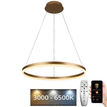 LED Aptumšojama lustra ar auklu LED/42W/230V 3000-6500K d. 60 cm + tālvadības pults