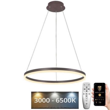 LED Aptumšojama lustra ar auklu LED/42W/230V 3000-6500K + tālvadības pults