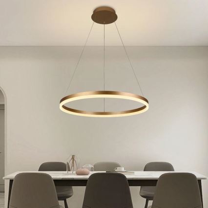 LED Aptumšojama lustra ar auklu LED/42W/230V 3000-6500K d. 60 cm + tālvadības pults