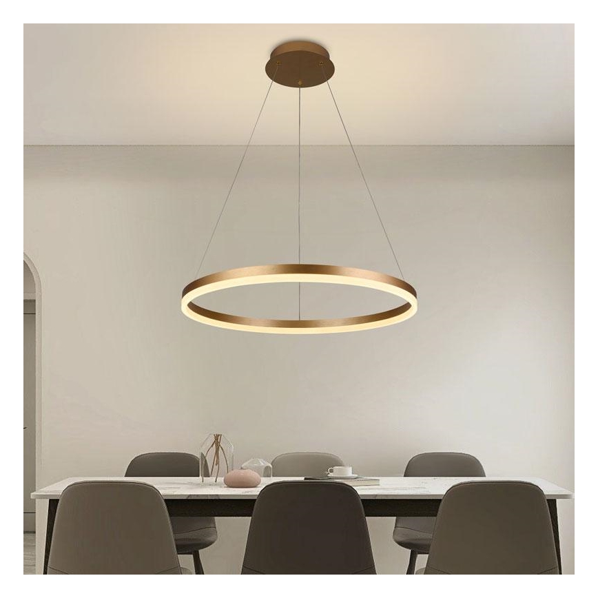 LED Aptumšojama lustra ar auklu LED/42W/230V 3000-6500K d. 60 cm + tālvadības pults