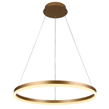 LED Aptumšojama lustra ar auklu LED/42W/230V 3000-6500K d. 60 cm + tālvadības pults
