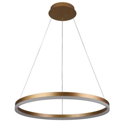 LED Aptumšojama lustra ar auklu LED/42W/230V 3000-6500K d. 60 cm + tālvadības pults