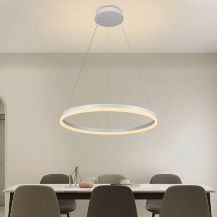 LED Aptumšojama lustra ar auklu LED/42W/230V 3000-6500K d. 60 cm + tālvadības pults