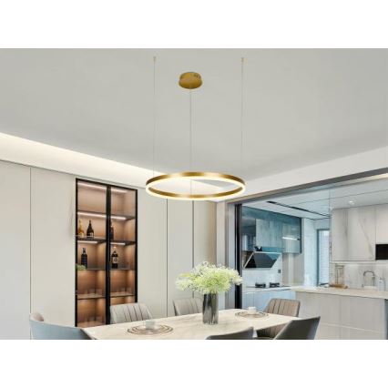 LED Aptumšojama lustra ar auklu LED/42W/230V 3000-6500K d. 60 cm + tālvadības pults