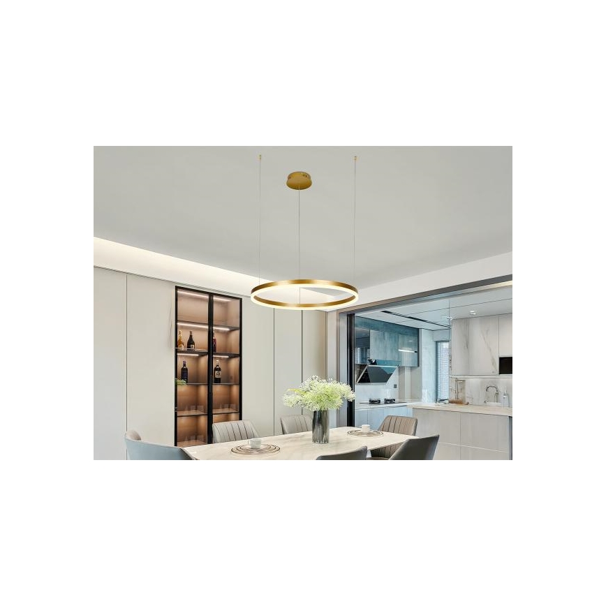 LED Aptumšojama lustra ar auklu LED/42W/230V 3000-6500K d. 60 cm + tālvadības pults