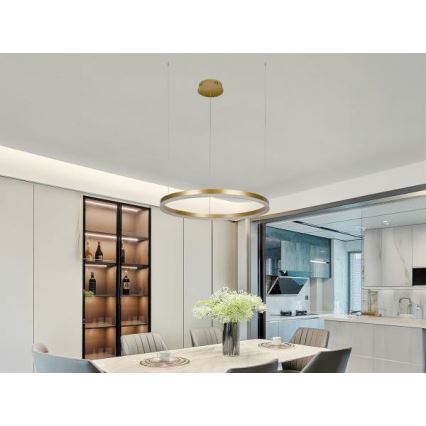 LED Aptumšojama lustra ar auklu LED/42W/230V 3000-6500K d. 60 cm + tālvadības pults