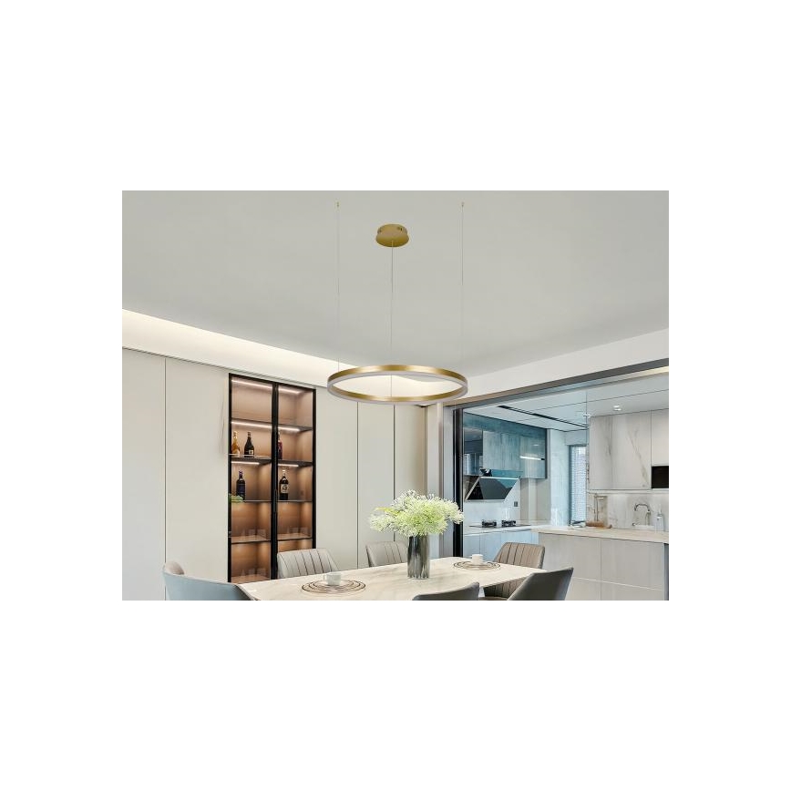 LED Aptumšojama lustra ar auklu LED/42W/230V 3000-6500K d. 60 cm + tālvadības pults