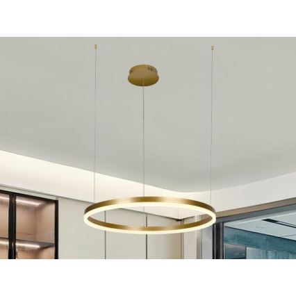 LED Aptumšojama lustra ar auklu LED/42W/230V 3000-6500K d. 60 cm + tālvadības pults