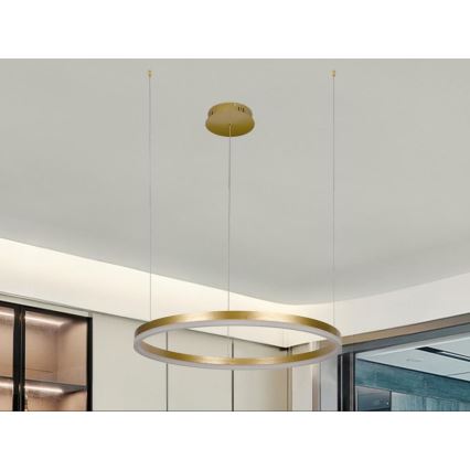 LED Aptumšojama lustra ar auklu LED/42W/230V 3000-6500K d. 60 cm + tālvadības pults
