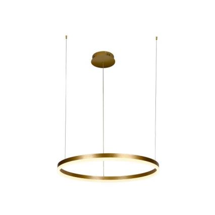LED Aptumšojama lustra ar auklu LED/42W/230V 3000-6500K d. 60 cm + tālvadības pults
