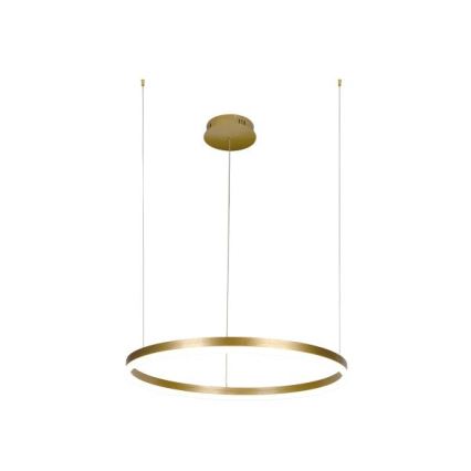 LED Aptumšojama lustra ar auklu LED/42W/230V 3000-6500K d. 60 cm + tālvadības pults