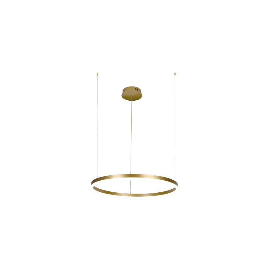 LED Aptumšojama lustra ar auklu LED/42W/230V 3000-6500K d. 60 cm + tālvadības pults