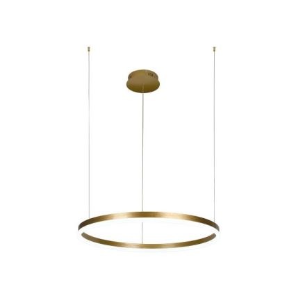 LED Aptumšojama lustra ar auklu LED/42W/230V 3000-6500K d. 60 cm + tālvadības pults