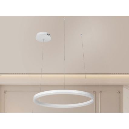 LED Aptumšojama lustra ar auklu LED/42W/230V 3000-6500K + tālvadības pults