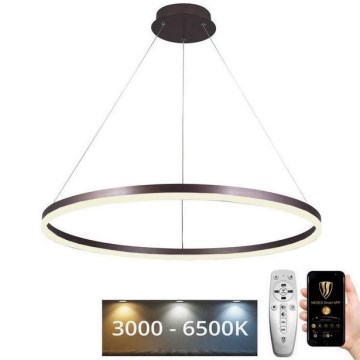 LED Aptumšojama lustra ar auklu LED/55W/230V 3000-6500K d. 80 cm + tālvadības pults