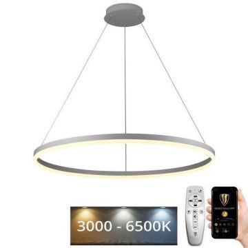 LED Aptumšojama lustra ar auklu LED/55W/230V 3000-6500K d. 80 cm + tālvadības pults