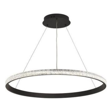 LED Aptumšojama lustra ar auklu LED/55W/230V 3000-6500K d. 80 cm + tālvadības pults
