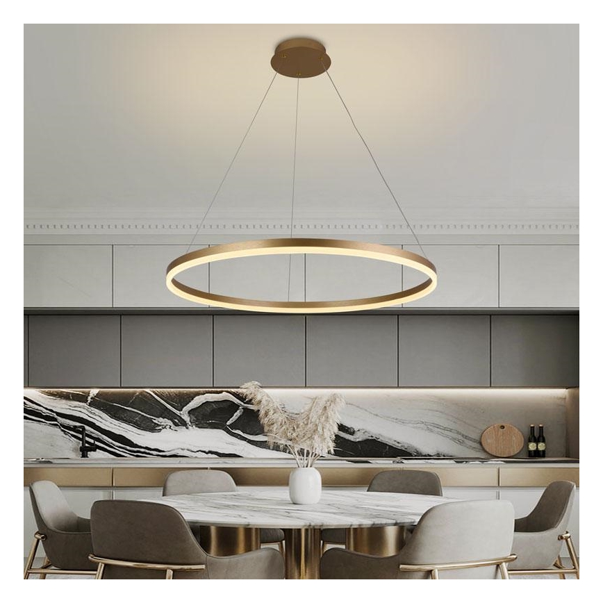 LED Aptumšojama lustra ar auklu LED/55W/230V 3000-6500K + tālvadības pults