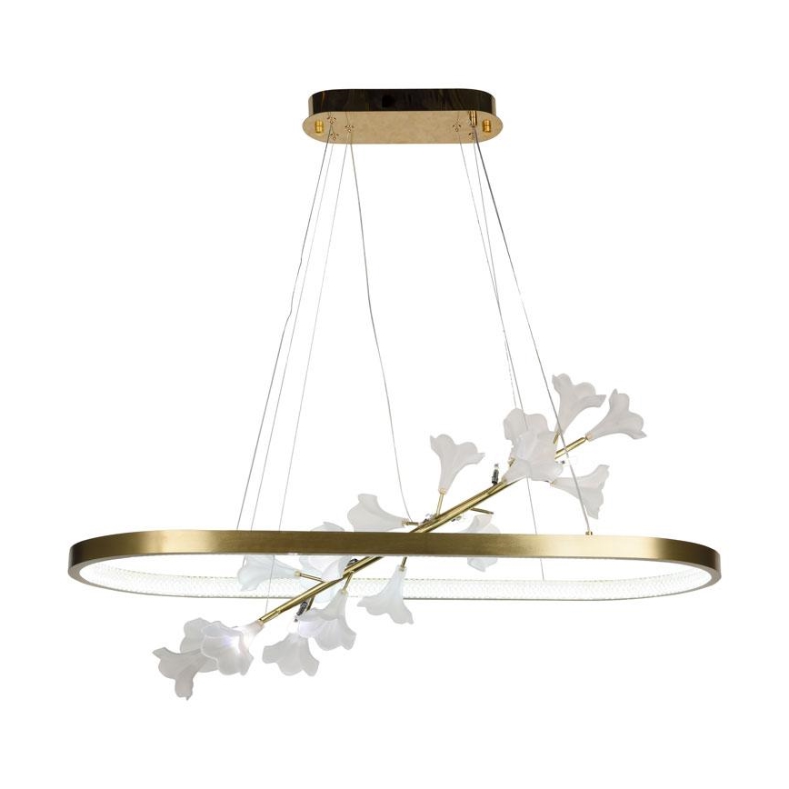 LED Aptumšojama lustra ar auklu LED/55W/230V 3000-6500K + tālvadības pults